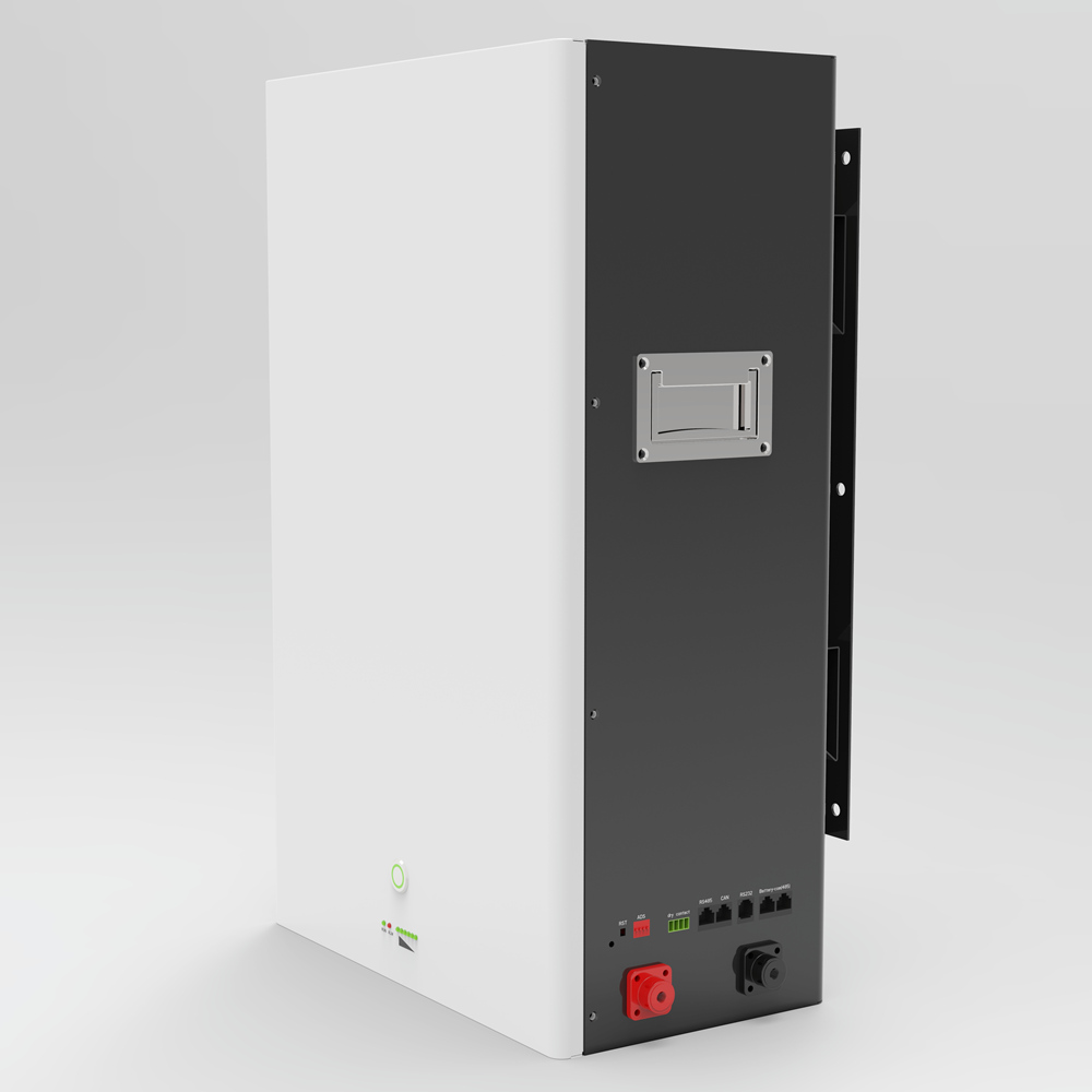 FOSHAN RJ ENERGY 5kwh Lithium Solar Battery 48V 100AH LiFePO4 ESS Backup House Battery