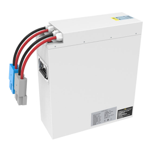 24V 50AH AGV LiFePO4 Battery Utility EV Material Handling Vehicles Robots Smart BMS 